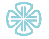 Woostify mobile logo